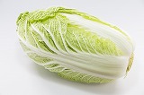白菜